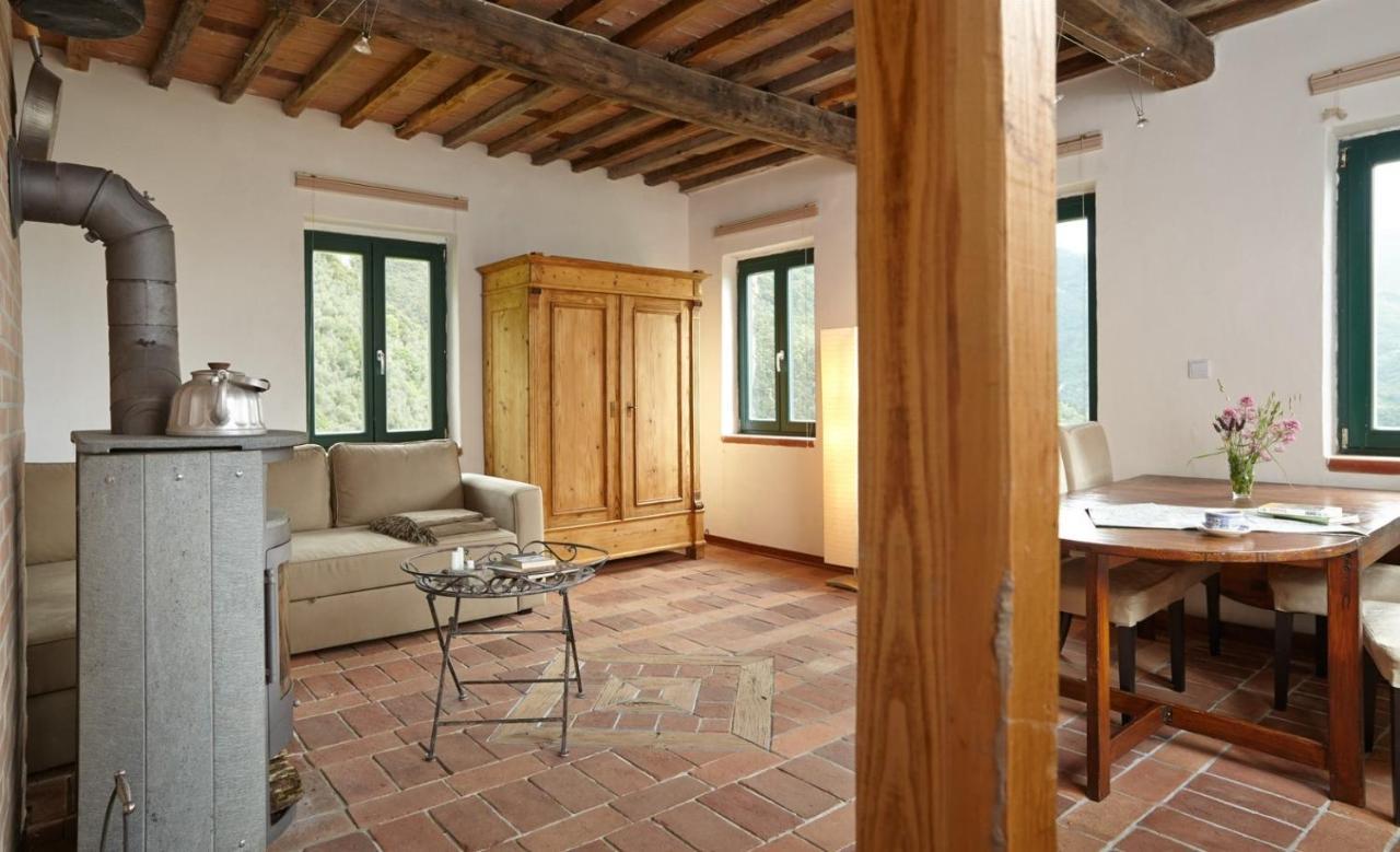 Casa Berti - Urlaub Im Olivenhain Camaiore Exteriör bild