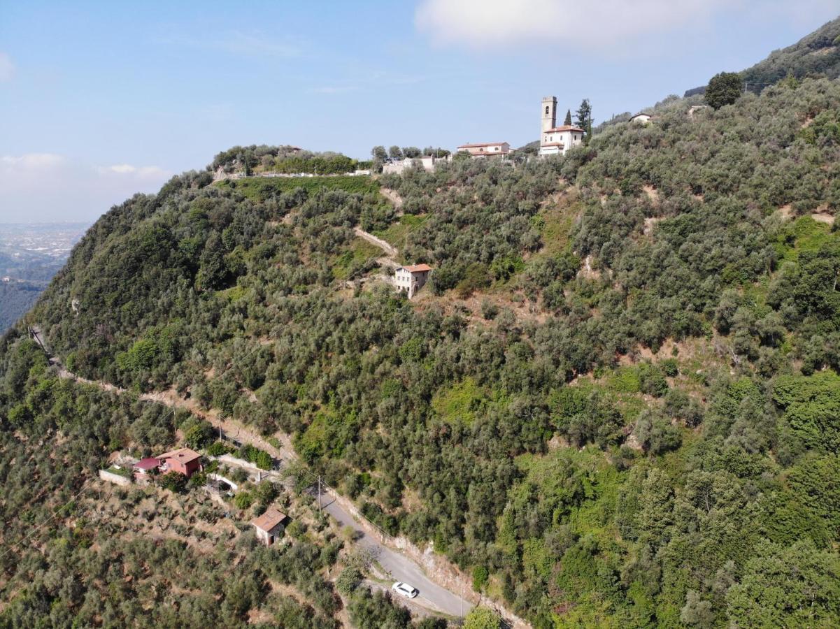 Casa Berti - Urlaub Im Olivenhain Camaiore Exteriör bild