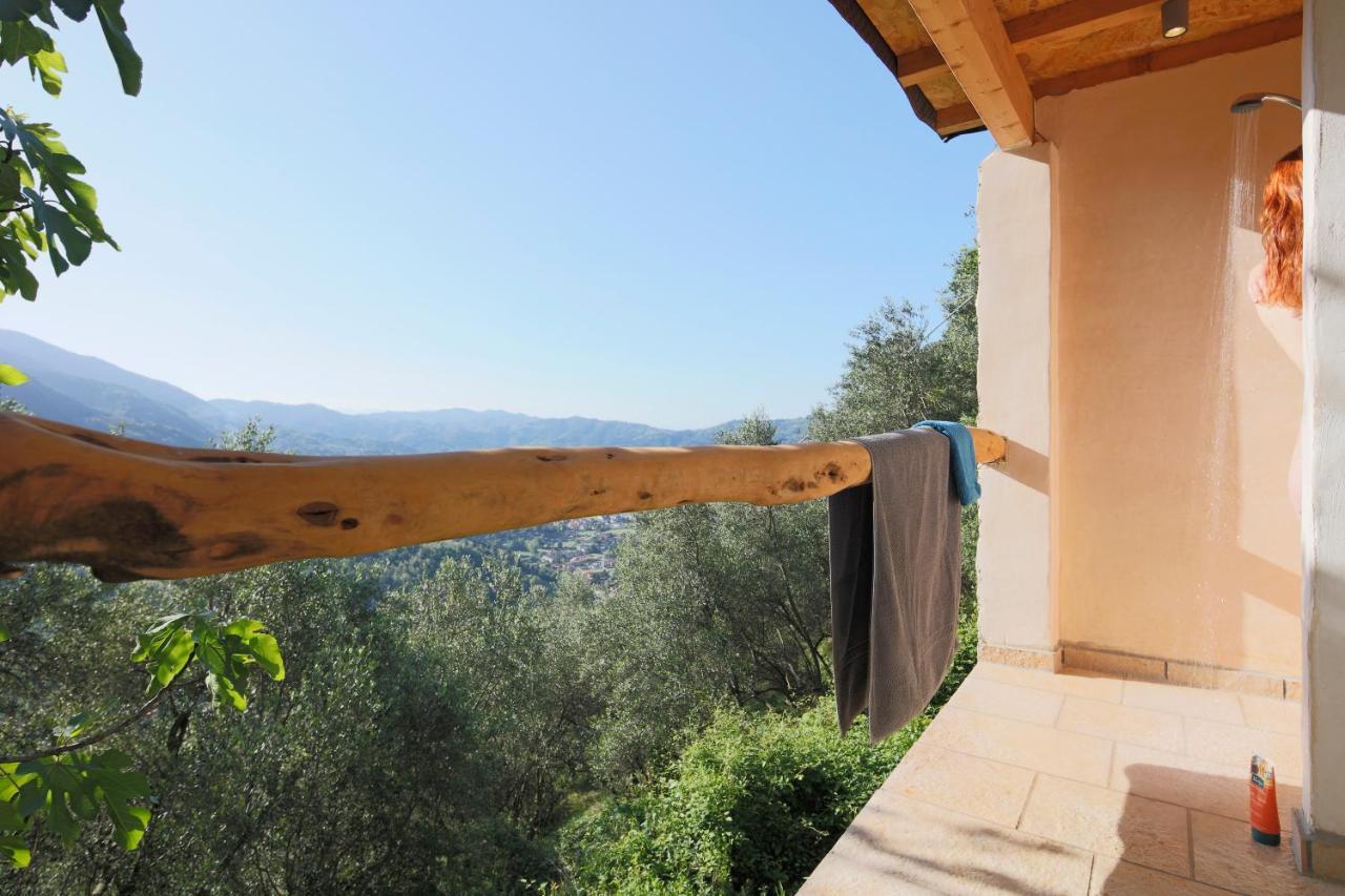 Casa Berti - Urlaub Im Olivenhain Camaiore Exteriör bild